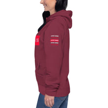 Load image into Gallery viewer, Unisex Hoodie Romans 1:16 (in Japanese print ) - MichaelCo.
